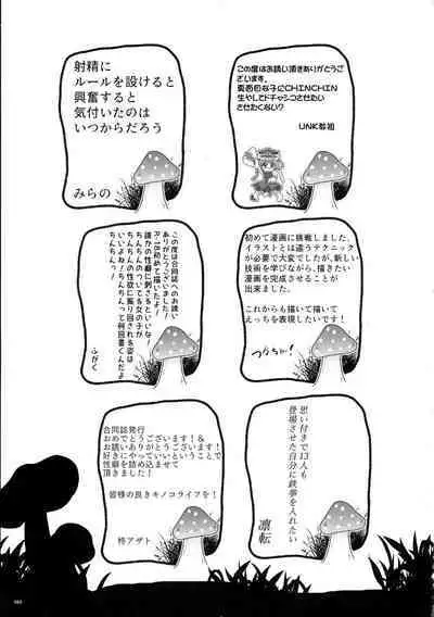 Touhou Ochinpo Haechatta Goudoushi