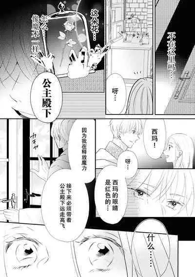 Tsukai ma wa hime dake o nemurasenai | 使魔不让公主入睡