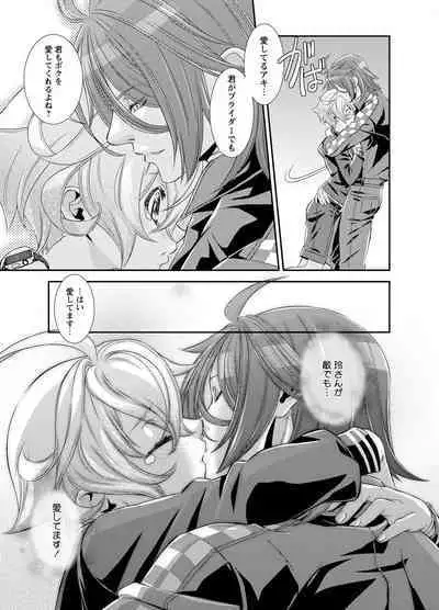 Denki Sentai Briders