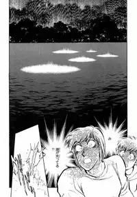 [Shibata Masahiro] Nano Sector