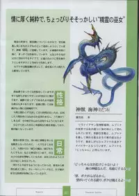 [XUSE]Seinarukana The Spirit of Eternity Sword 2 Material Book