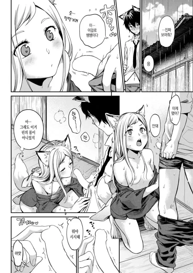 ] 愛しやコンコン