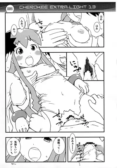 CHEROKEE EXTRA LIGHT 13