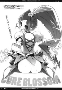 (C79) [life & Digital Flyer (Haga Yui & Ohta Yuuichi)] DIGITAL LIFE 2010 WINTER ff (Precure Series)