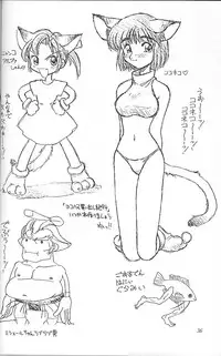 [Magic Knight Rayearth][Neriwasabi] Ura Sanyou Ukou Rayearth