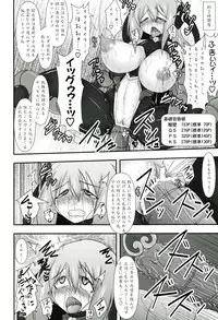 (C81) [FONETRASON (Ryutou)] Shield Knight Elsain Vol.11 "NETHER LABORATORY"