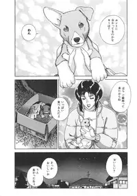 [Motchie] Pretty Misa 2