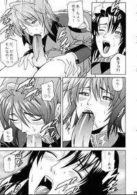 (C68) [Bakuretsu Fusen (Denkichi)] Burst!! Vol.3 (Mobile Suit Gundam SEED DESTINY)