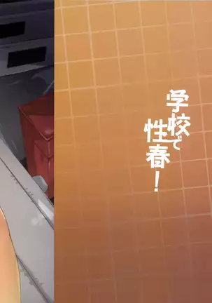 gakkou de seishun sailor jooby