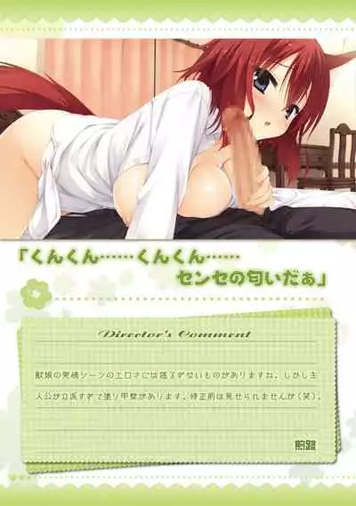 AMAIRO ISLENAUTS OFFICIAL VISUAL FAN BOOK