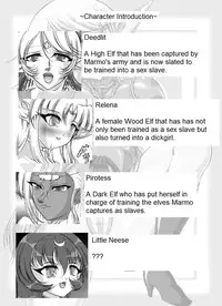 [SLW (Q1)] Aidorei Elf Senki | Record of Slave Elf War (Record of Lodoss War) [English] [DarkSpooky] [Digital]