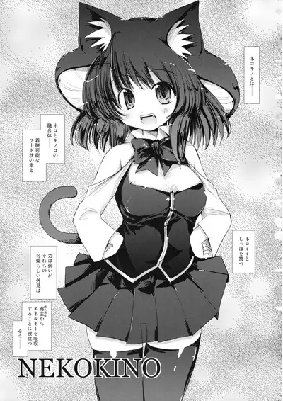 NIXINAMO DAYS 2008 WINTER