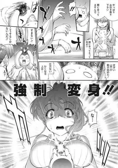 [John Sitch-Oh] Hiwaijitate no Fruits [Digital]