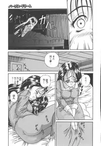 [SHION] Black Diamond