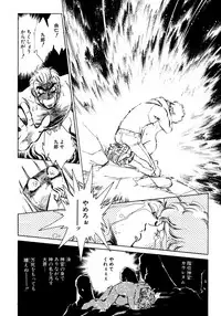 [Shibata Masahiro] Nano Sector