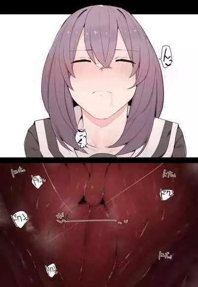 Internal Sightseeing Tour