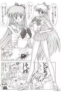 [BLACK DOG (Kuroinu Juu)] Star Platinum (Bishoujo Senshi Sailor Moon)