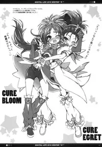 (C79) [life & Digital Flyer (Haga Yui & Ohta Yuuichi)] DIGITAL LIFE 2010 WINTER ff (Precure Series)
