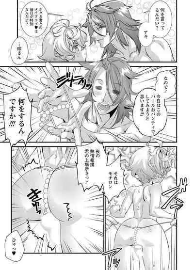 Denki Sentai Briders