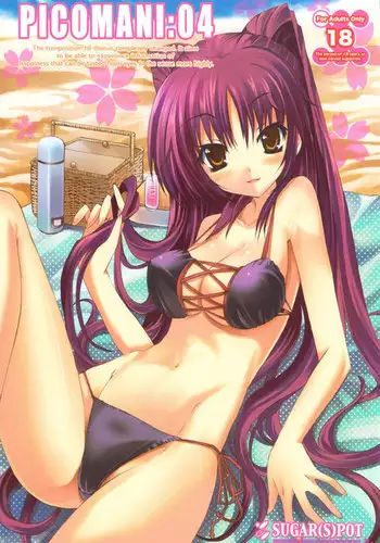 PICOMANI 04