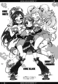 (C79) [life & Digital Flyer (Haga Yui & Ohta Yuuichi)] DIGITAL LIFE 2010 WINTER ff (Precure Series)