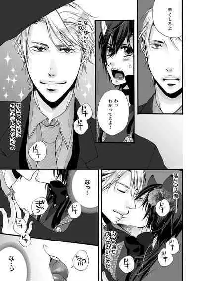 Aigan Neko no Yuuwaku