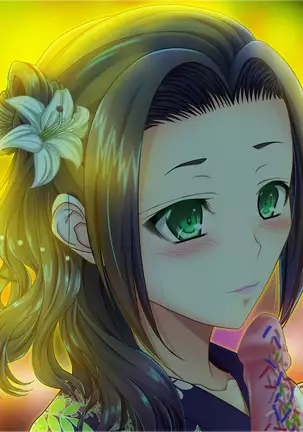 Toaru Furyou no Kousei Nikki - Natsuyasumi no Toho -