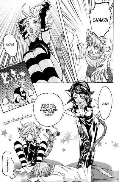 Mimi Paradise Vol. 1