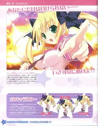 TECH GIAN Super Prelude twinkle crusaders with DVD-Rom