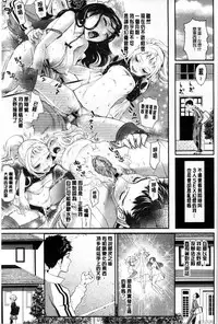 [Miyabi] Otomehime | 美少女公主 [Chinese]