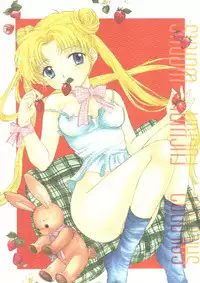 (C51) [Sailor Q2 (Ryö)] SFW Sailor Q2 Fuckin' Works (Bishoujo Senshi Sailor Moon)