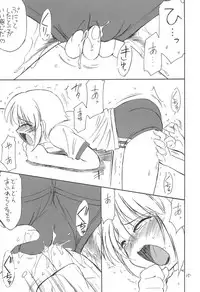 (C67) [EINSATZ GRUPPE (Charlie Nishinaka)] B-1 BLOOMER (Mai-HiME)