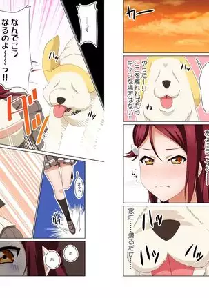 digital doujinshi collection