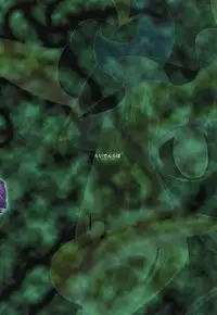 (SC42) [Raiden Labo (Raiden)] LUNATIC NightMare -Buta- (Touhou Project)