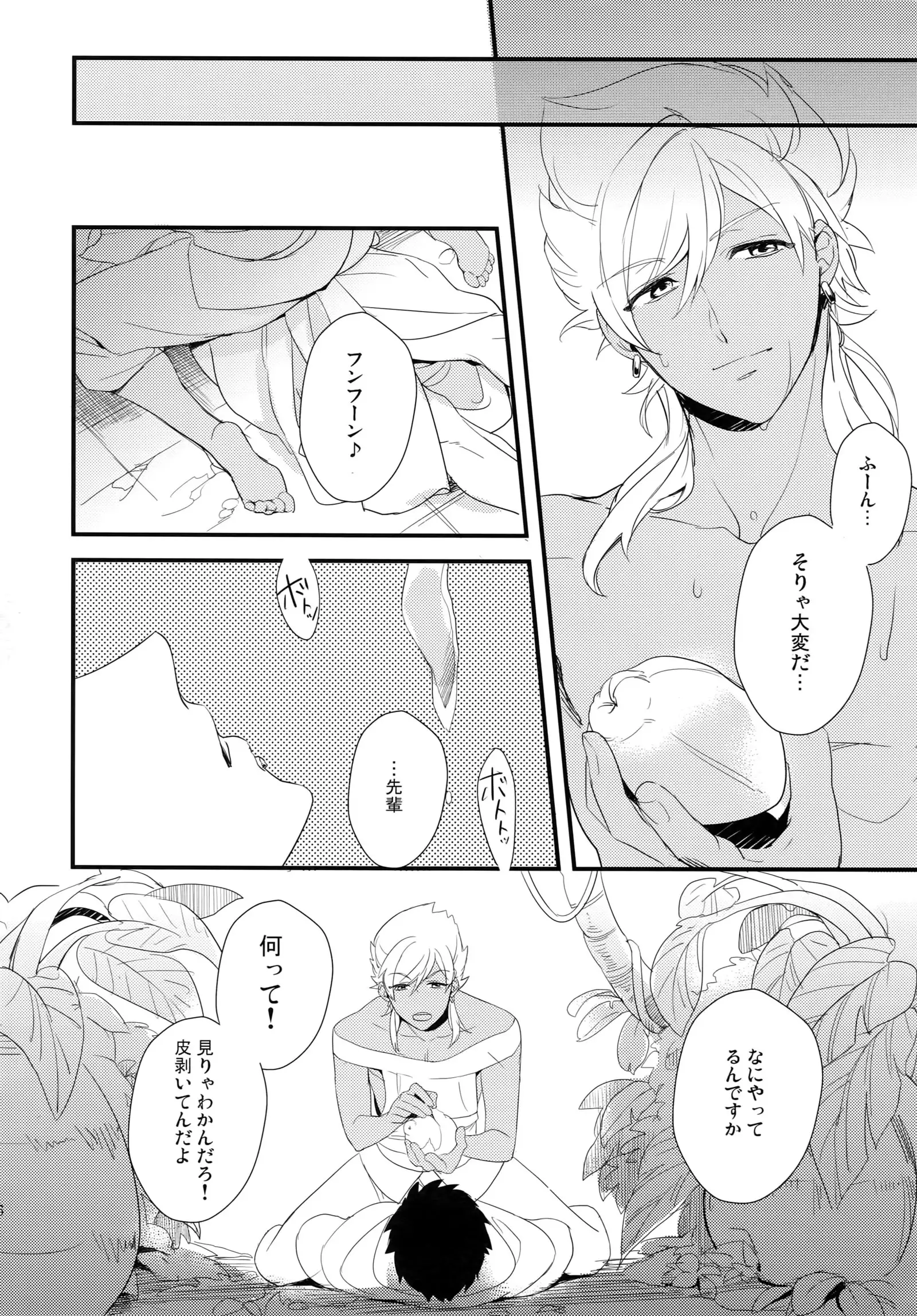 PureSlider. Sairoku 2011 - 2012