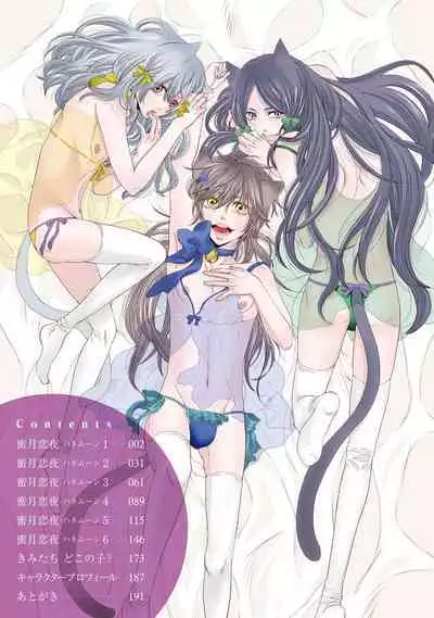 Aigan Neko no Yuuwaku