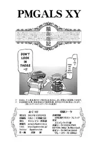 (C85) [Gambler Club (Kousaka Jun)] PM GALS XY (Pokemon) [English]