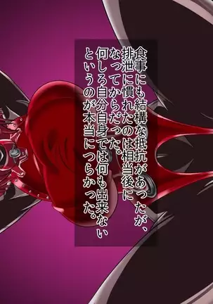 ドミギュラス・レポート