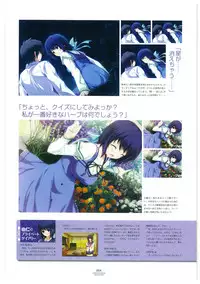 LOVELY CATION 1&2 VISUAL FAN BOOK