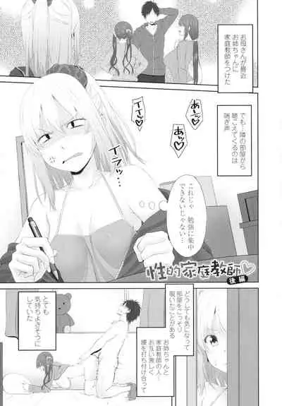 Onii-chan no H na Otoshikata