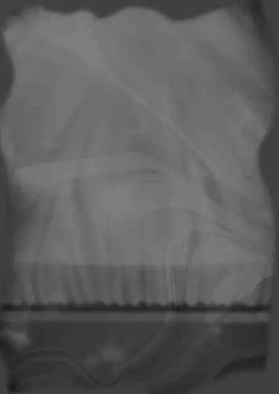 Naritakunai noni Succubus ni Natte Shimatta Honda-san | 尽管不情愿却还是成为了魅魔的本多小姐