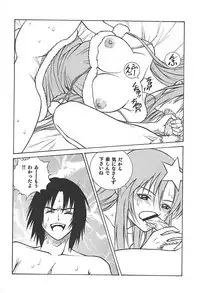 (C68) [Human High-Light Film (Ankoku Daimaou)] Meer to Lunamaria to Meyrin (Gundam SEED DESTINY)