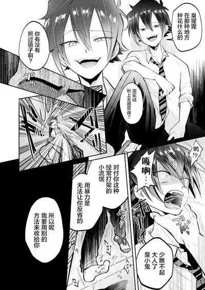 Furyou Shounen to Gakkyuu Iinchou no Himitsu