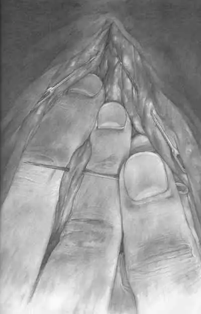 Hitodenashi no Koi - The love of the brute