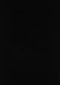 (Jabjab Maidoari! 3) [Ryuutou Dabi (Ryuua)] Do-Chikushou Beronica-san Kairaku no Sister (Flower Knight Girl)