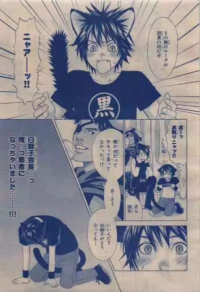 BE・BOY GOLD 2009-12