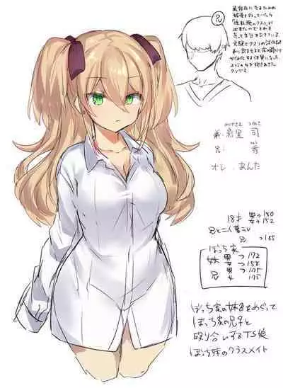 Nyotaika/TSF Summary!