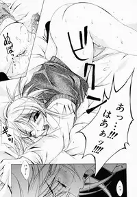 [Inui Sekihiko] Fiesta!!