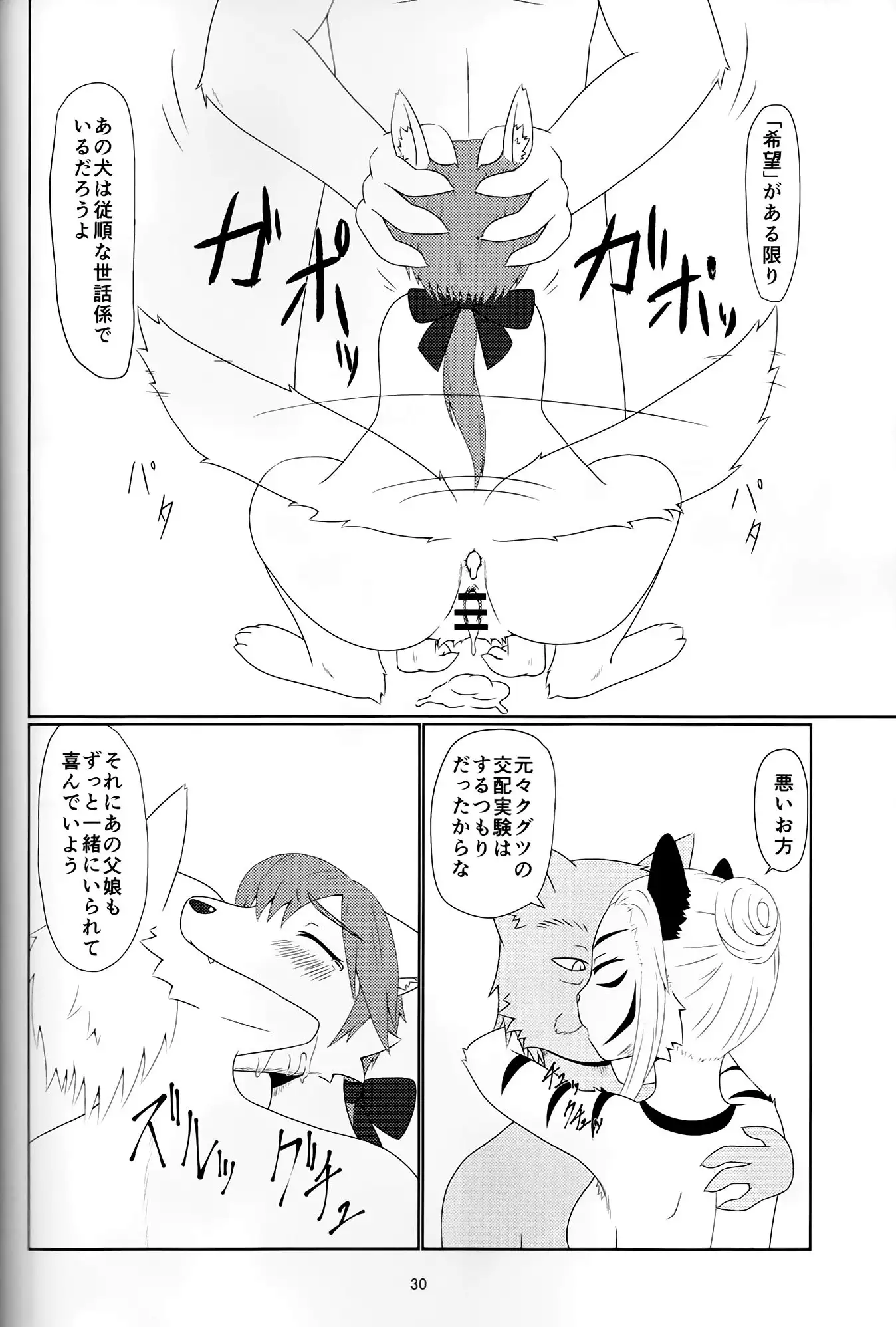 アヤツリニンギョウ