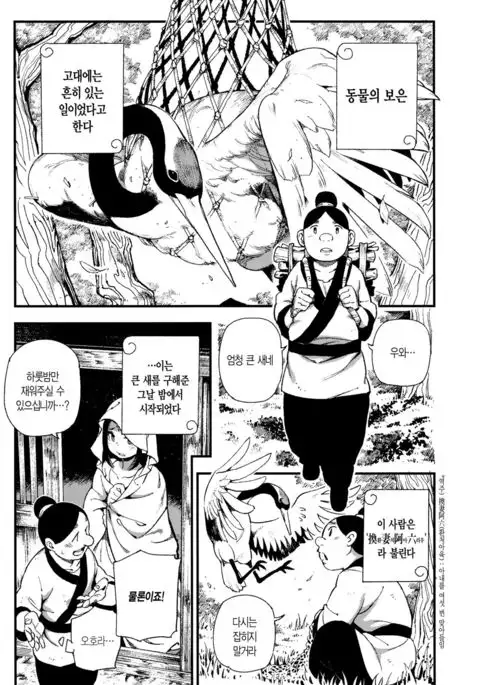 Human-animal marriage